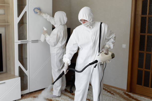 24/7 Emergency Odor Removal experts in Hanna, UT